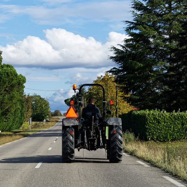 Transport d'alimentation pour animaux